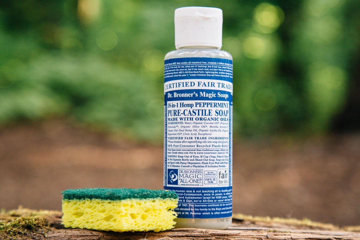 Dr. Bronner's soap and a sponge