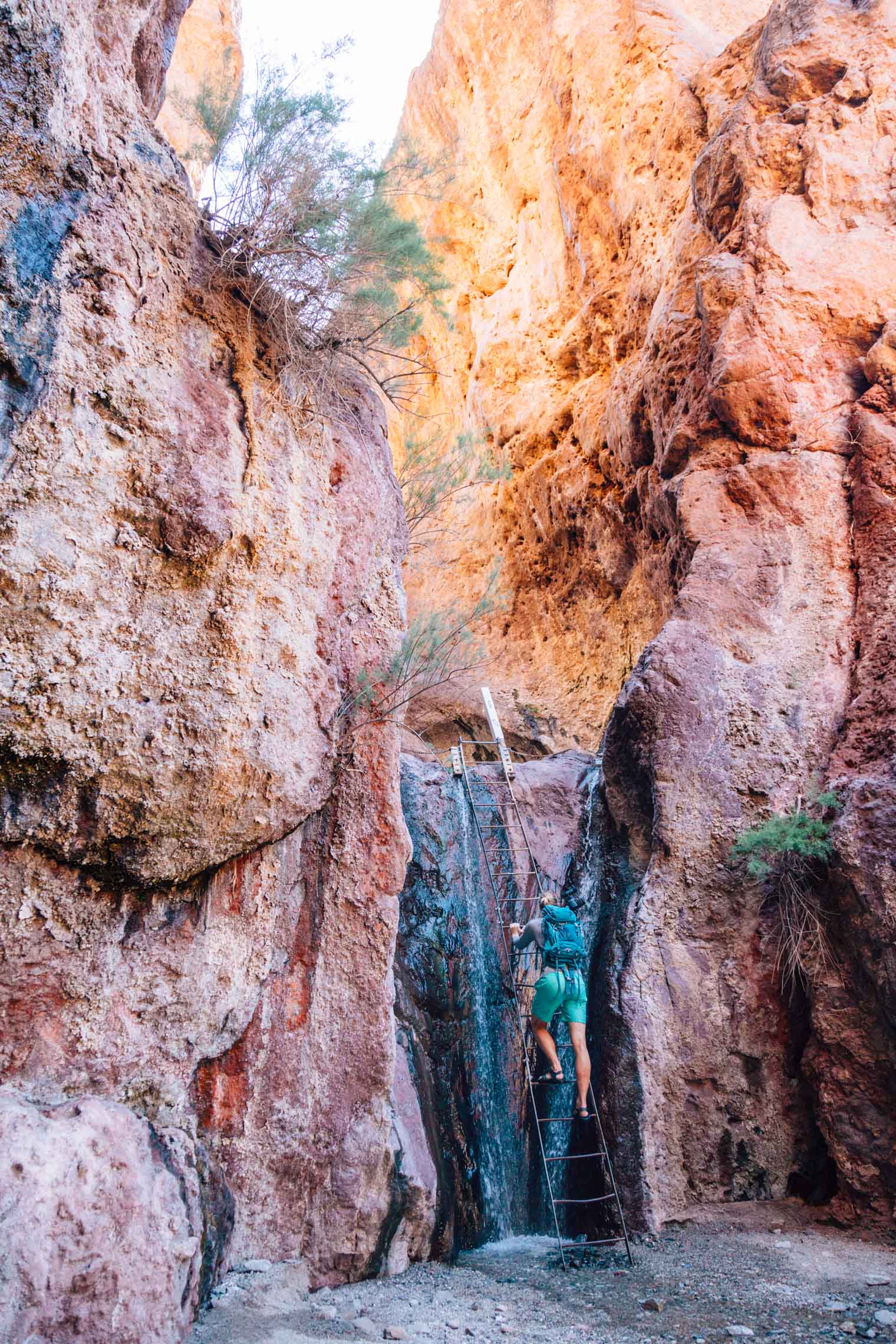 Michael climbing up a ladder in a slot canyon
