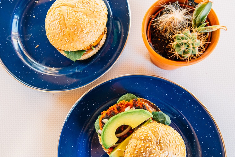 Two burgers on blue plates and a potted cactus