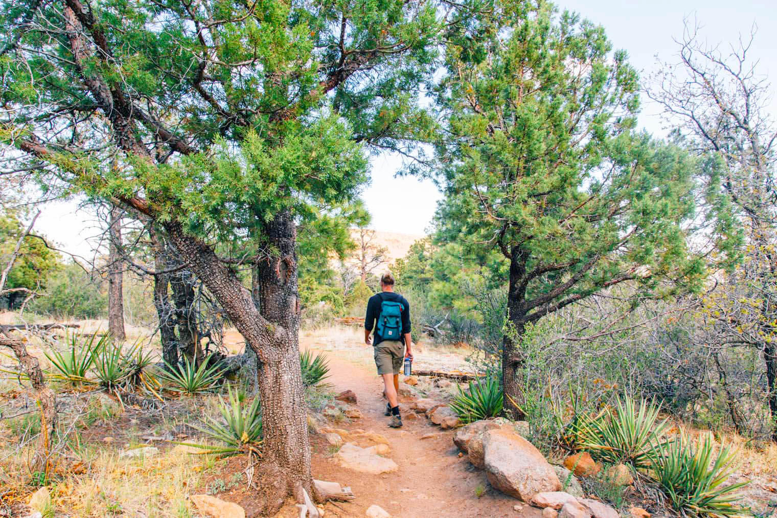 Fat Mans Loop Trail Flagstaff Arizona Hiking Trails