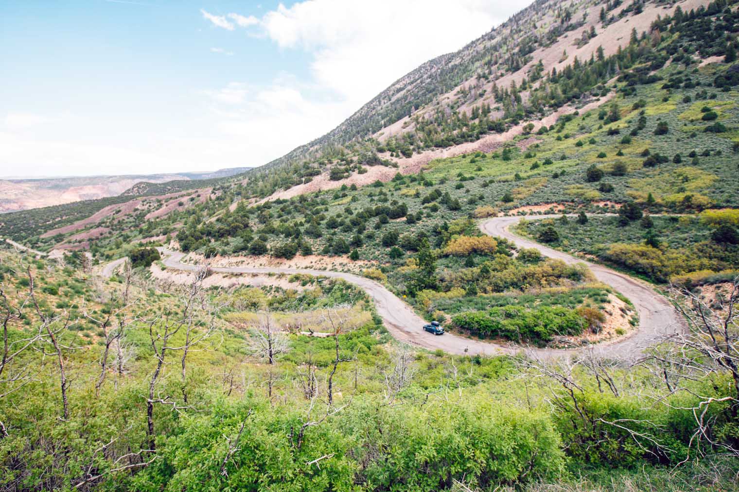 Winding road that is part of the La Sal Mountain Loop