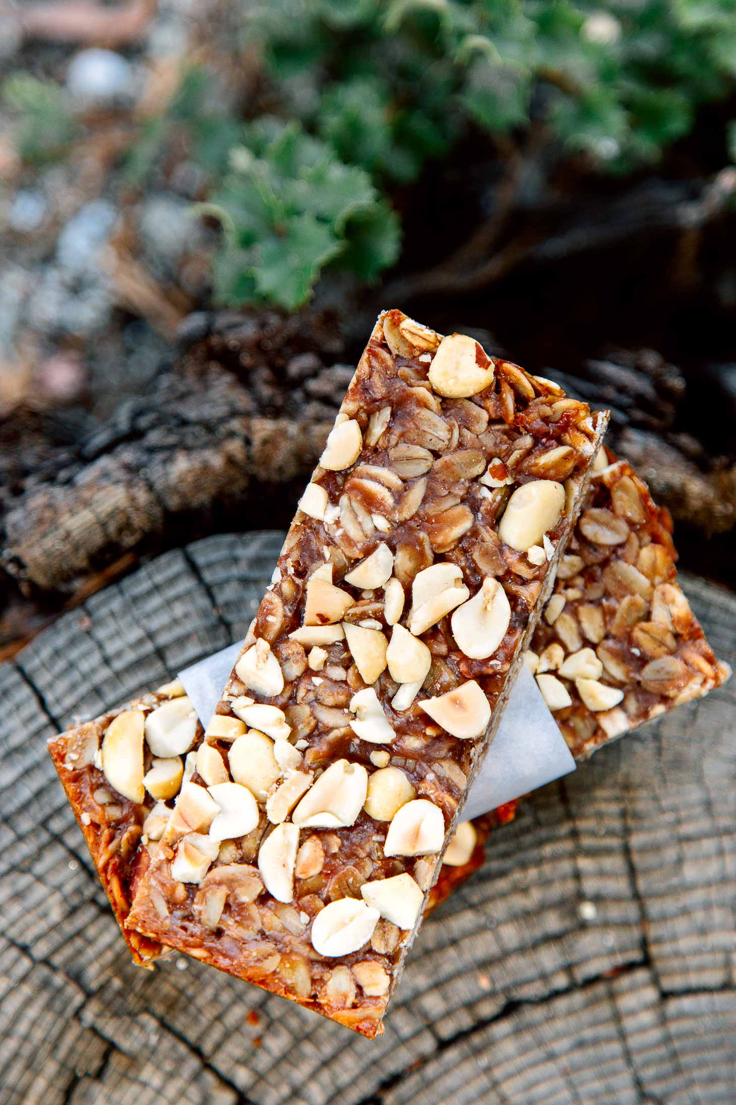 PB&J granola bars stacked on top of a stump