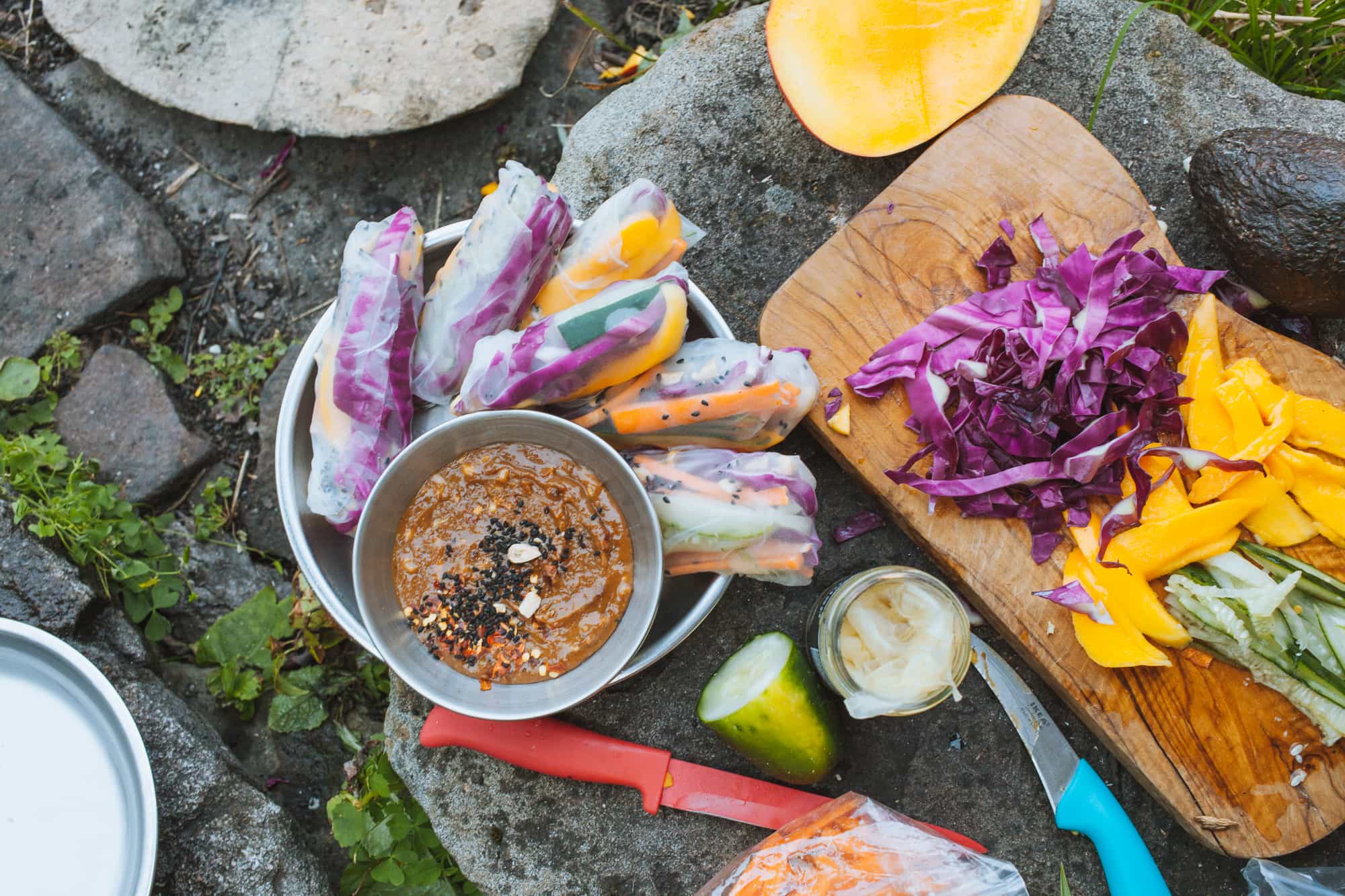 Summer rolls on a plate in a natural setting with chopped ingredients
