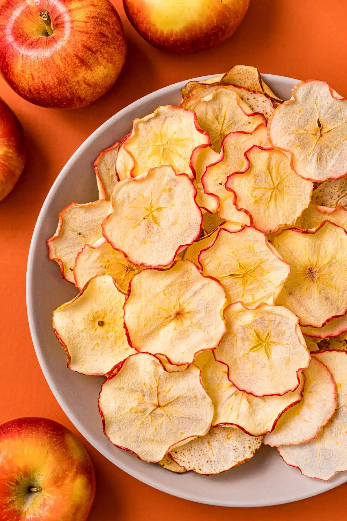 Dried apple chips in a bowl with fresh apples surrounding it.