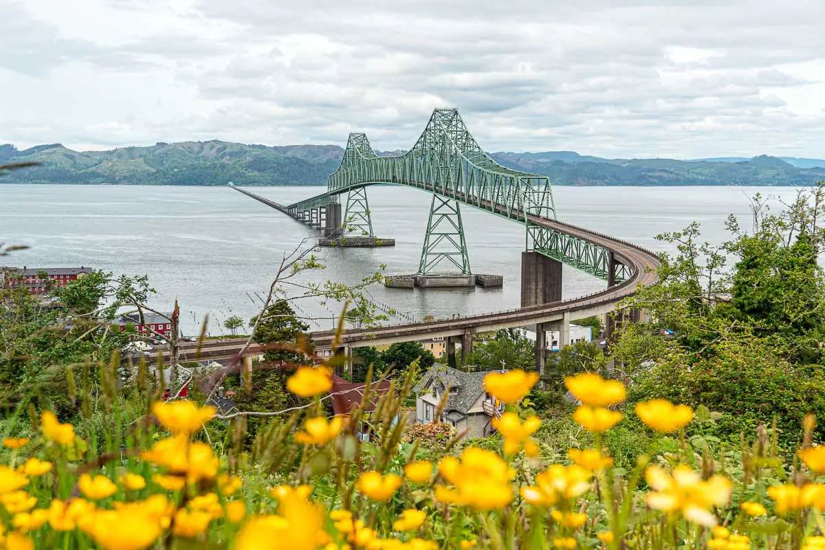 The Astoria bridge stretching over the Columbia River. There are orange wildflowers in the foreground.