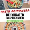 Pinterest graphic with text overlay reading "Pasta primavera dehydrated backpacking meal"