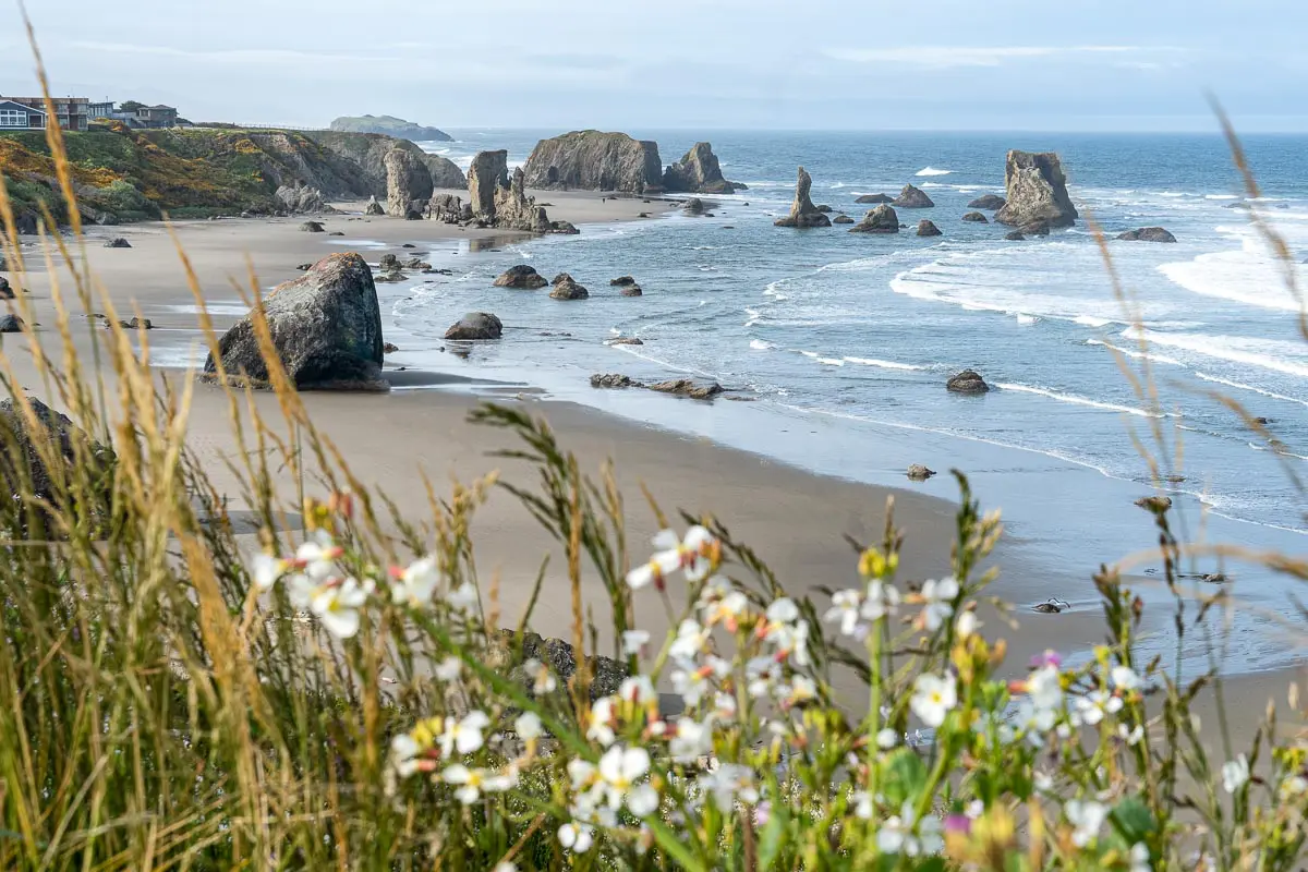 Wildflowers frame a view of a beach and sea stack rock formations.