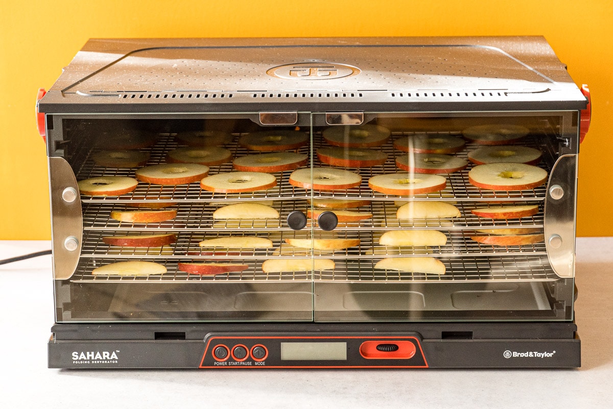 Best food dehydrator in 2024, tested by editors