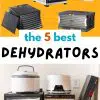 The 5 Best Food Dehydrators