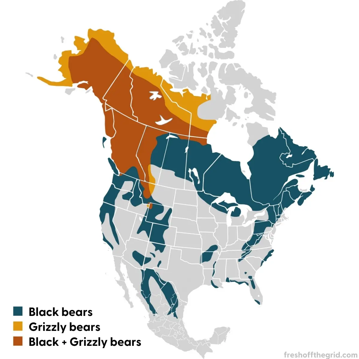 Map of North America depicting black bear and grizzly bear habitats