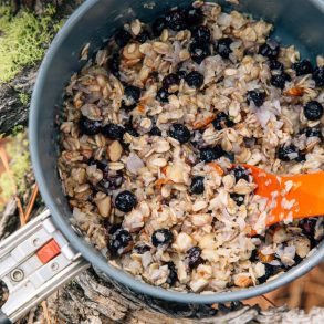 Blueberry coconut oatmeal in a backpacking pot set on a natural background.