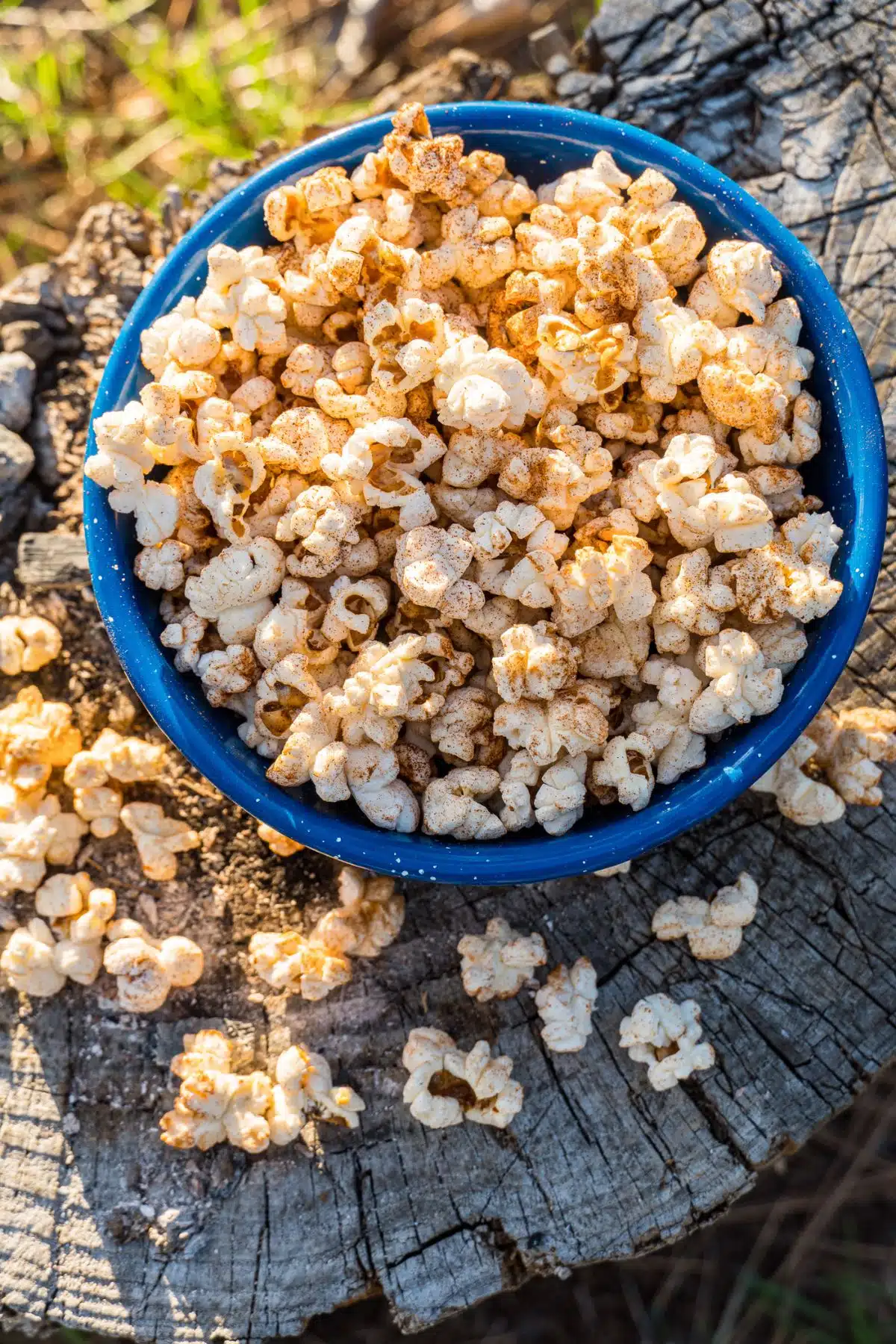 Popcorn in a blue bowl on a stump.