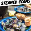 Clams in a bowl with text overlay reading "Campfire Steamed Clams"