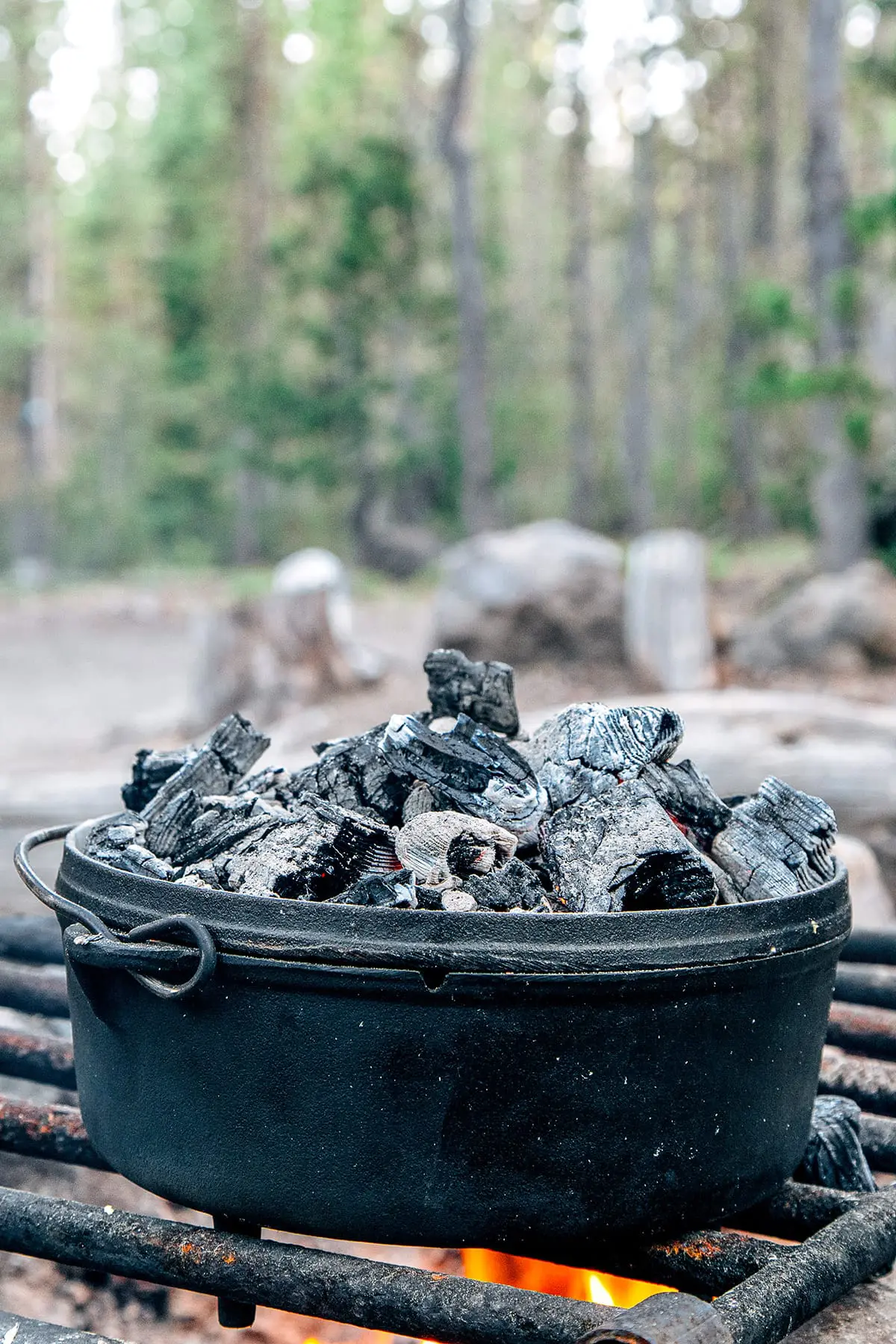 A Dutch oven over a campfire with coals on the lid and pine trees in the background