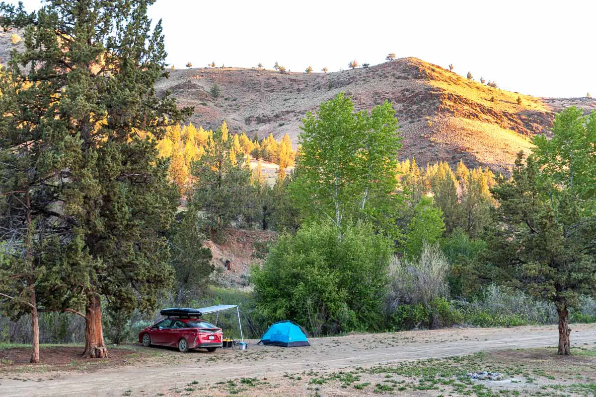 A car and a tent next to trees.