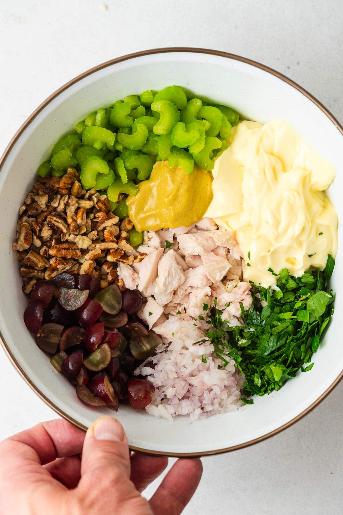 A hand holds a bowl divided into sections with sliced celery, mayo, parsley, diced shallots, halved grapes, pecans, mustard, and chicken.