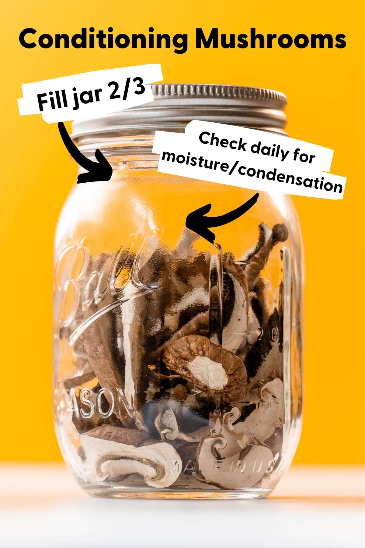Dehydrated mushrooms in a jar. Text overlays read "Conditioning Mushrooms" "Fill jar 2/3" "Check daily for moisture/condensation"