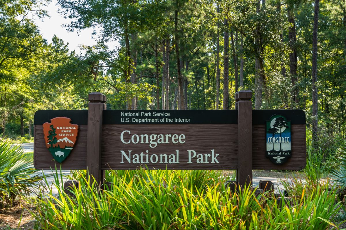 Sign at the entrance of Congaree National Park