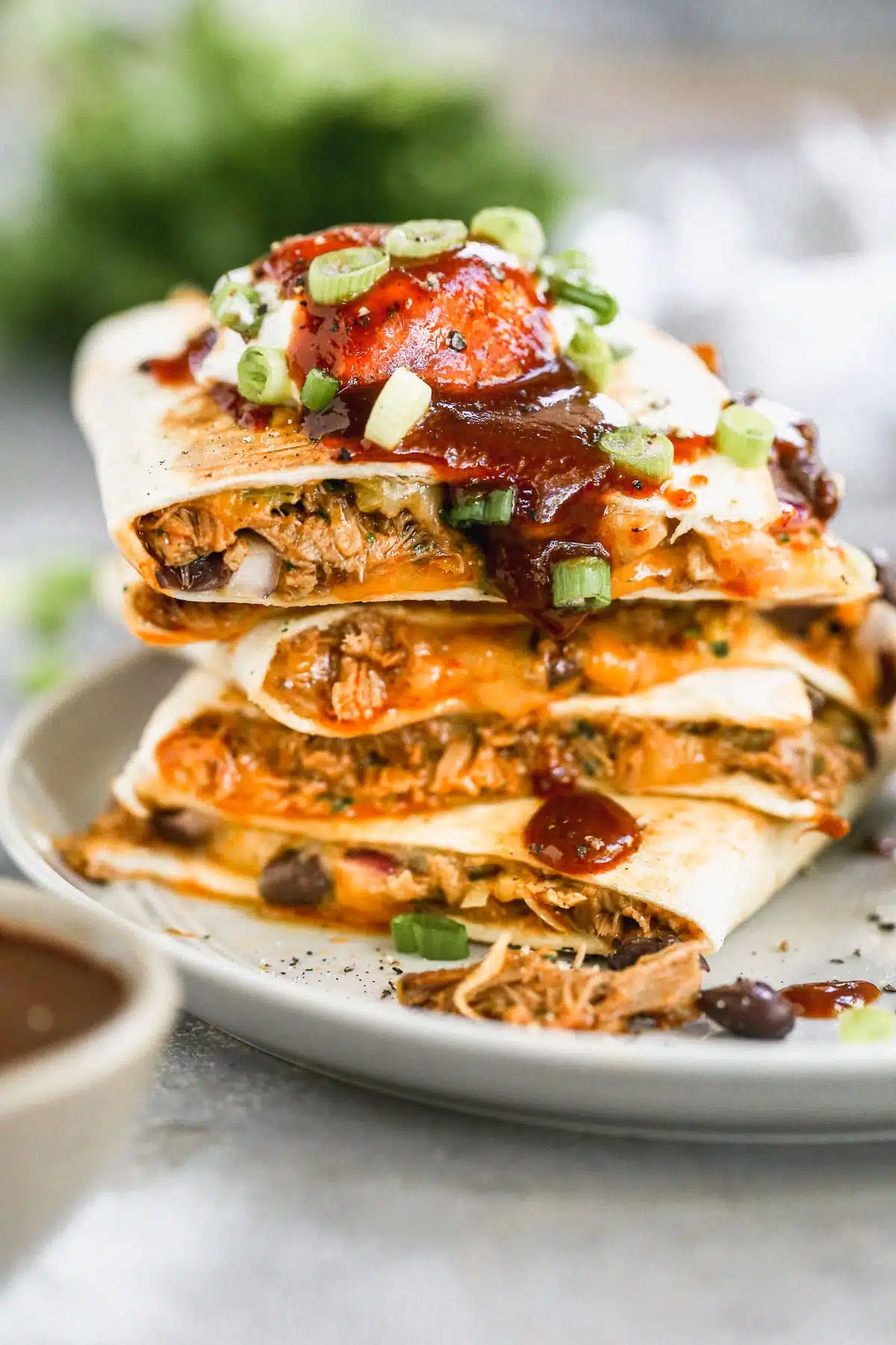 A stack of chicken enchiladas adorned with red sauce and chopped green onions rests on a white plate, surrounded by a blurred backdrop of fresh herbs.