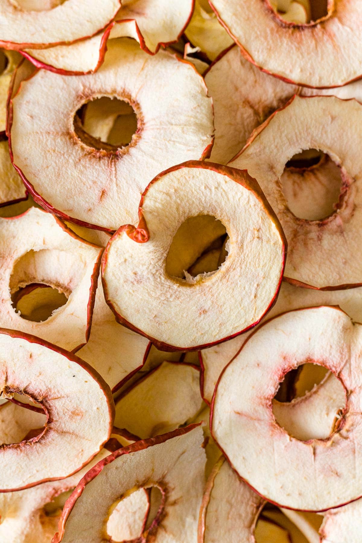 is genoeg vergeetachtig Intuïtie How to Dehydrate Apples (and make apple chips!)- Fresh Off The Grid