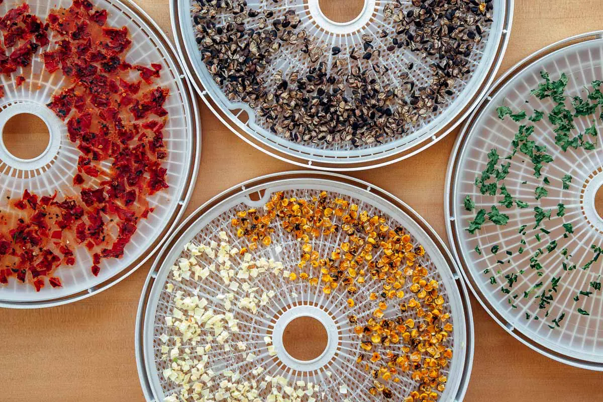 Dehydrated beans, tomatoes, corn, onions, and peppers on round trays.