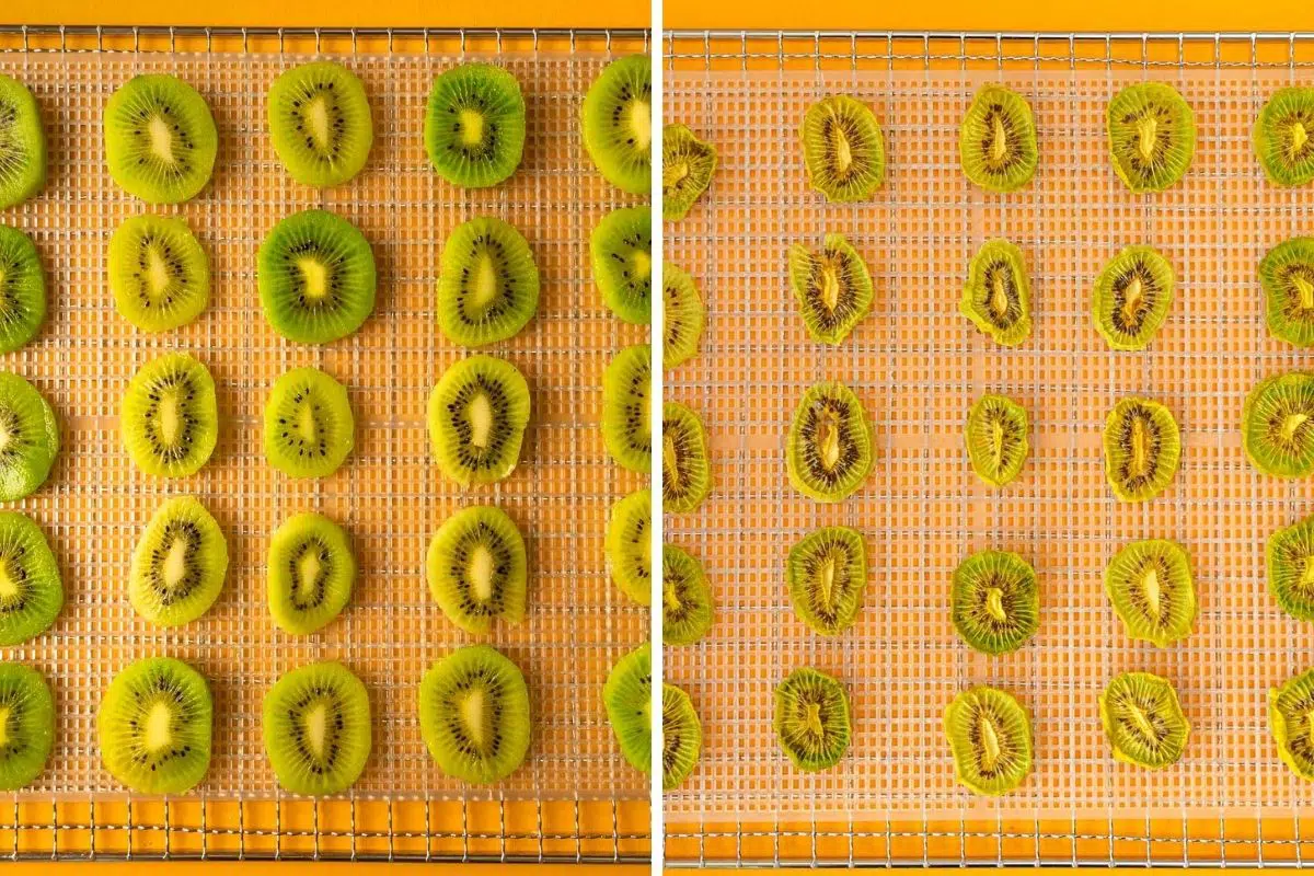 Kiwis before and after dehydrating