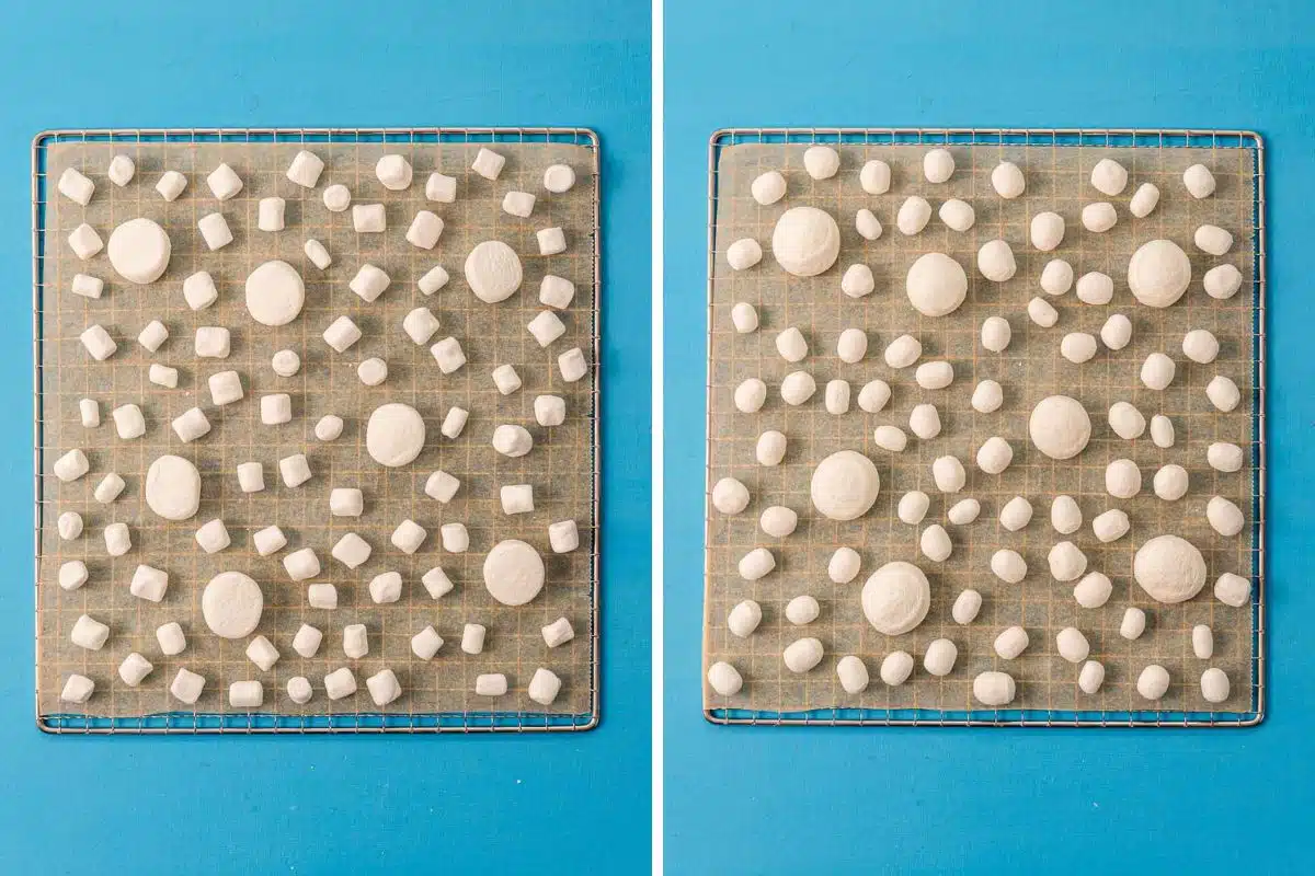 Marshmallows on dehydrator trays before and after drying