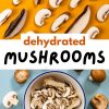 Pinterest graphic with text overlay reading "dehydrated mushrooms"