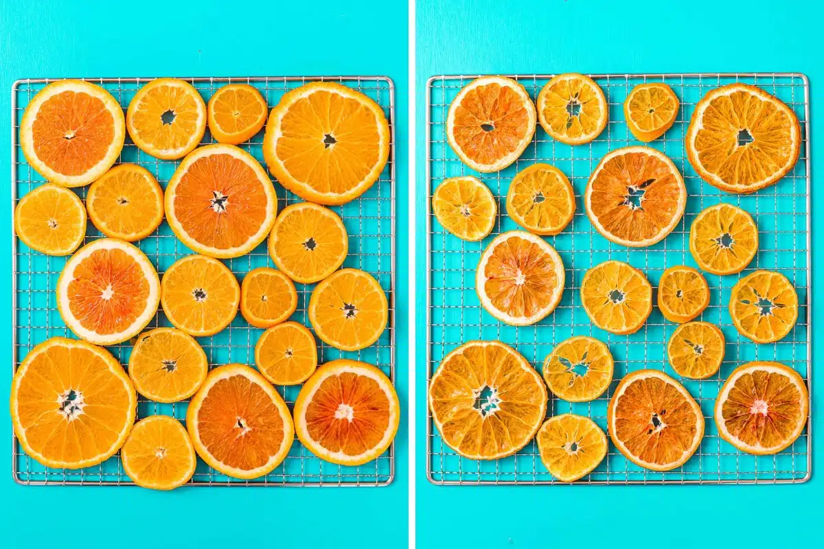 Orange slices on metal racks before and after dehydrating.