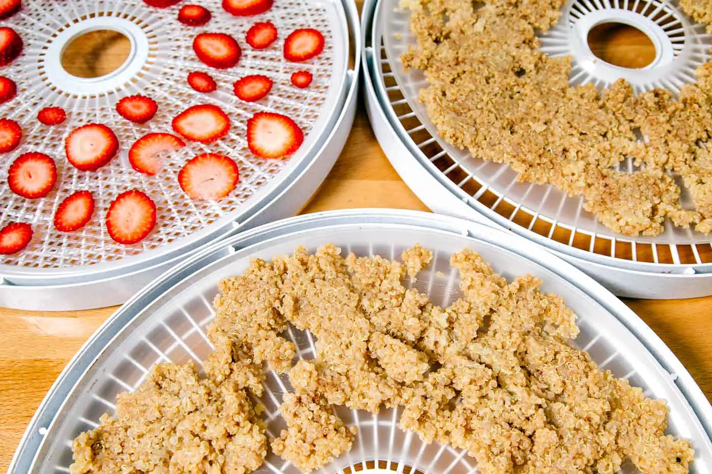 Cooked quinoa and sliced strawberries on dehydrator trays