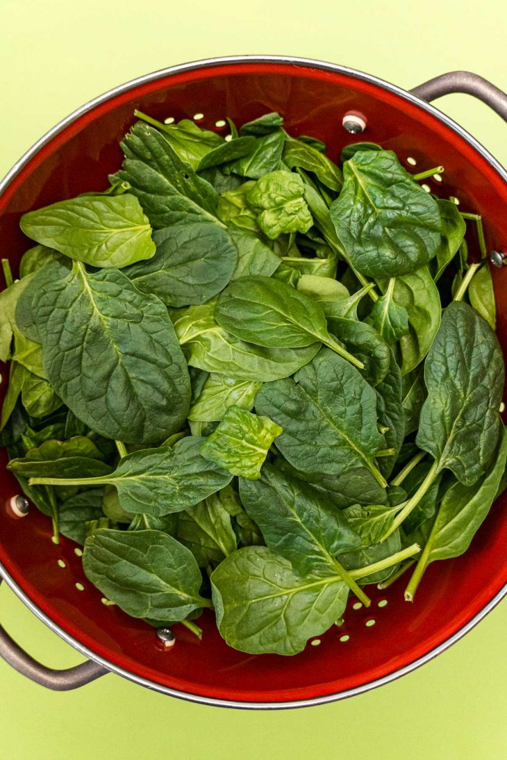 How to dry spinach wiscamping
