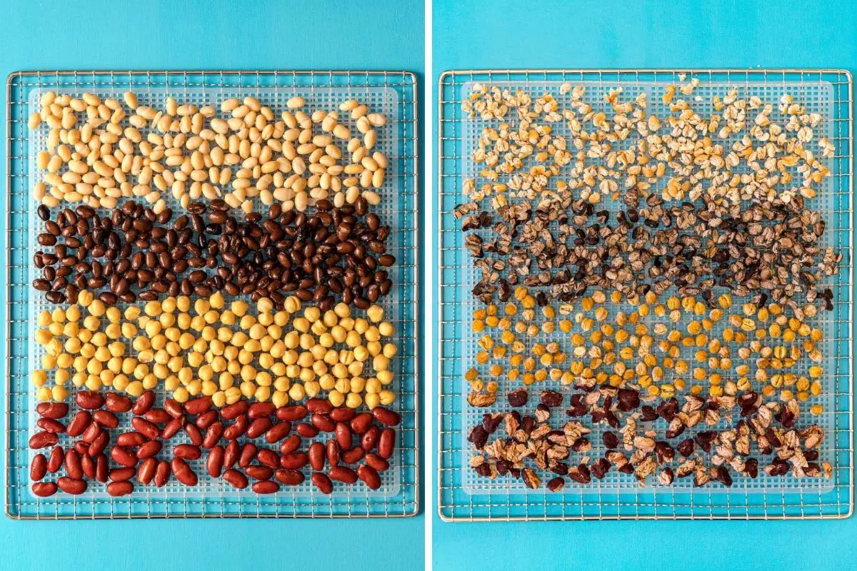 Beans before and after dehydrating