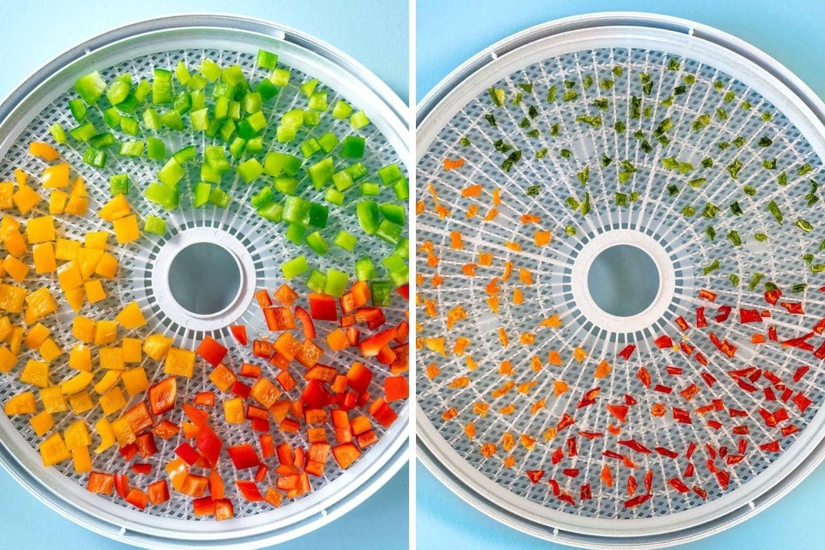 Bell peppers before and after dehydrating