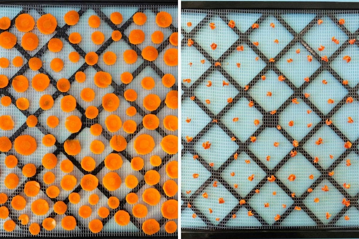 Carrots before and after dehydrating