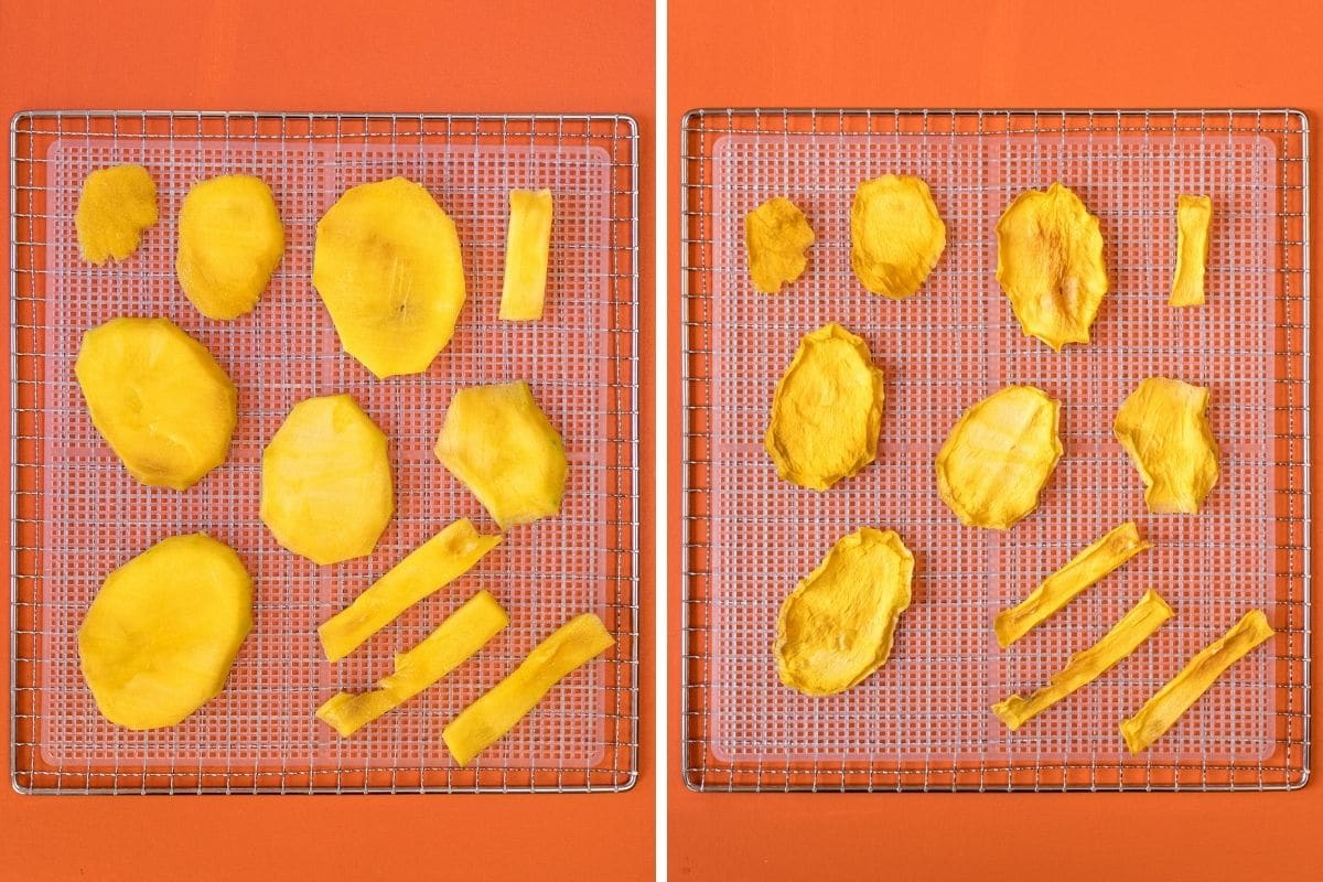 Dried mango before and after dehydrating