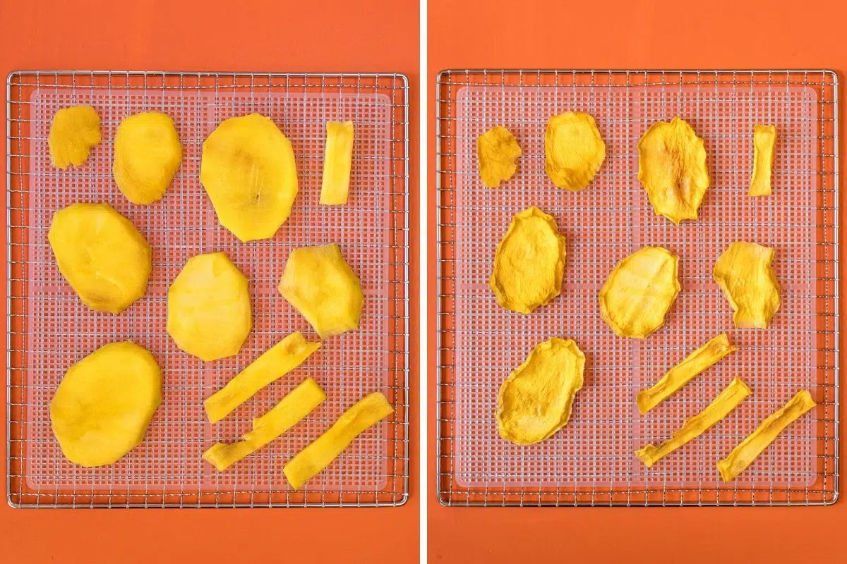 Dried mango before and after dehydrating