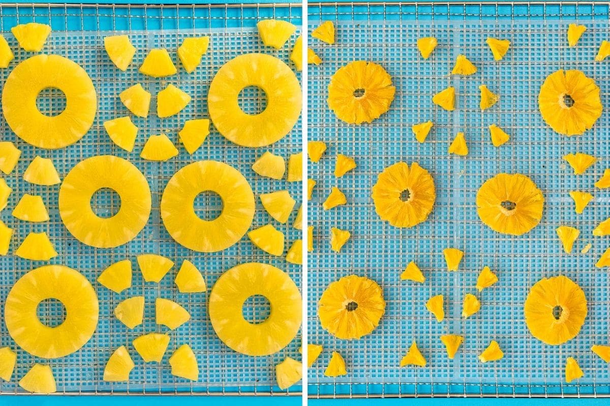 Pineapple before and after dehydrating