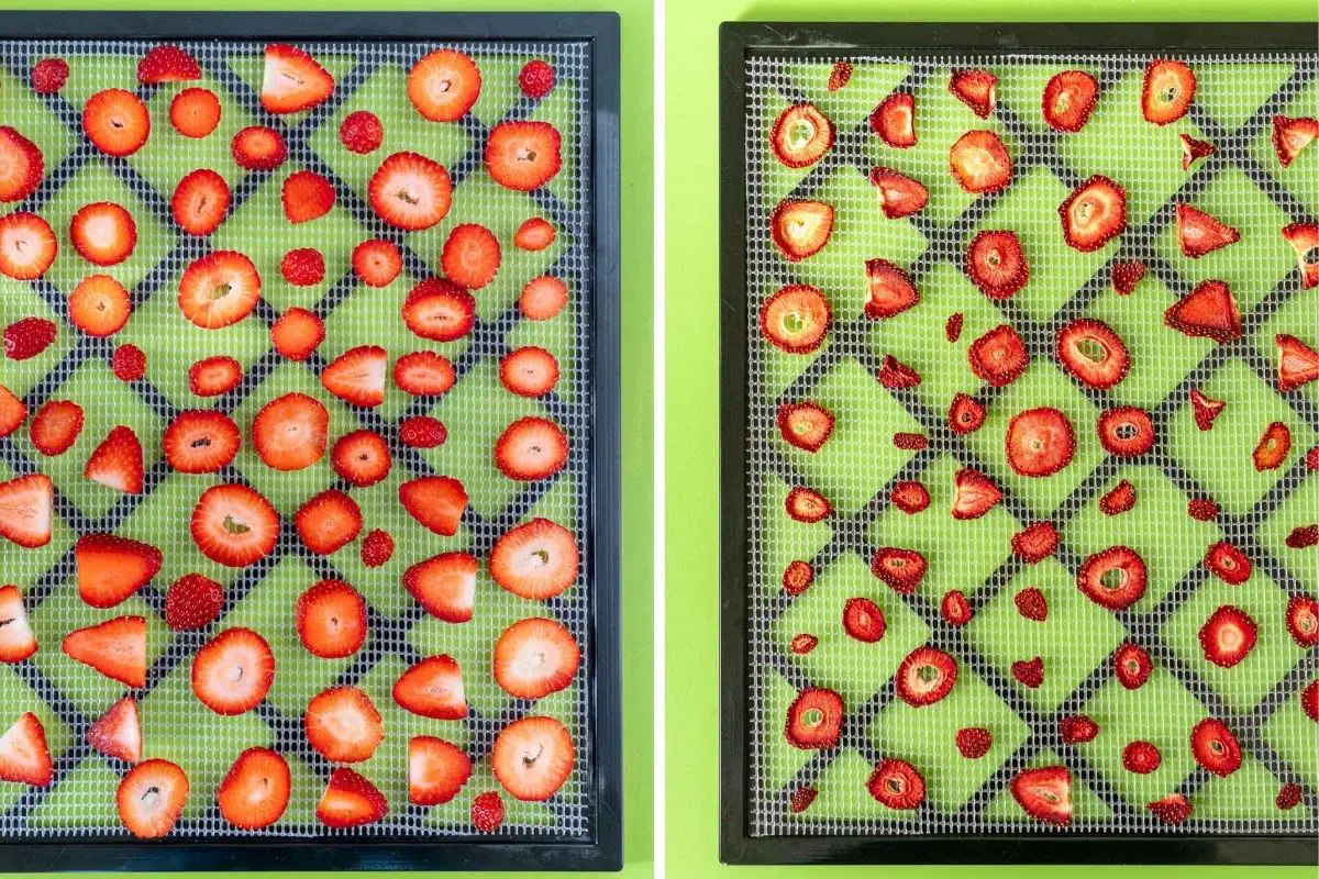 Strawberries before and after dehydrating