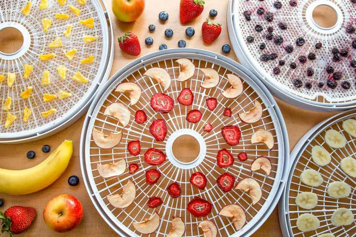 Dehydrated apples, strawberries, pineapples, and blueberries on dehydrator trays