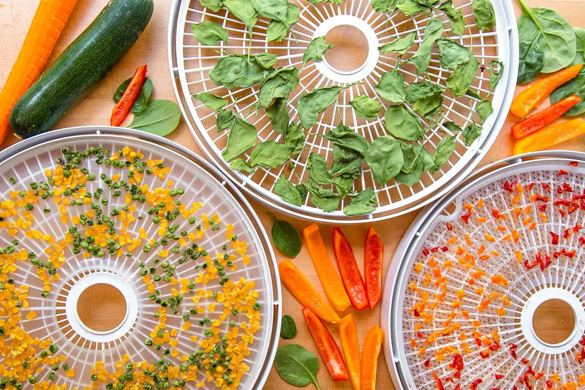 Dehydrated spinach, peppers, corn, and peas on dehydrator trays