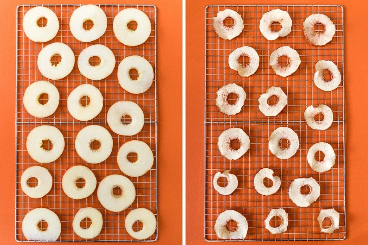 Apple rings before and after dehydrating