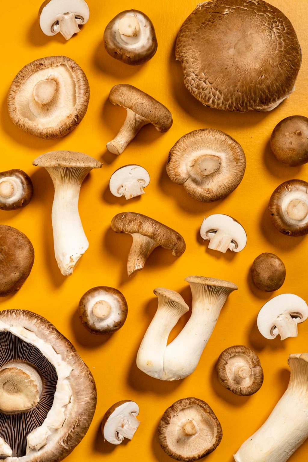 How to Dehydrate Mushrooms Fresh Off The Grid