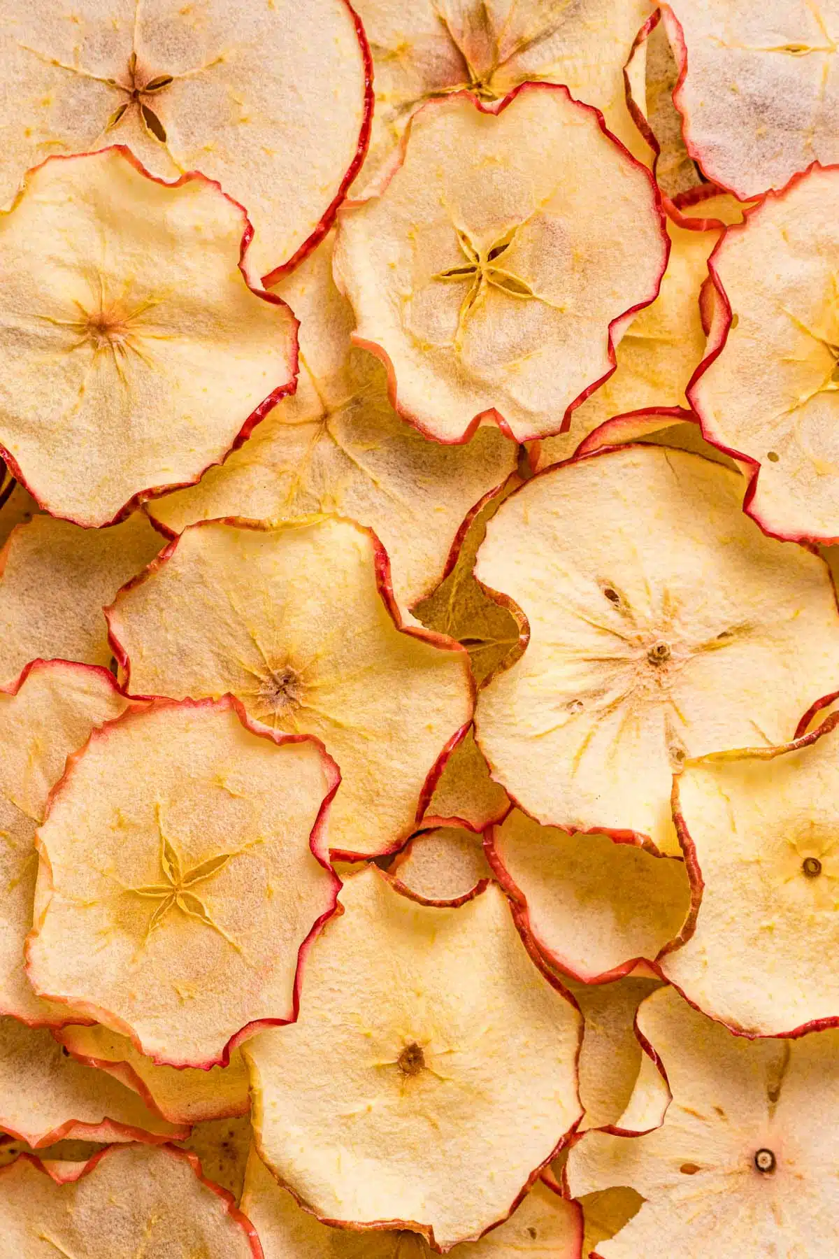 A pile of dried apple chips.