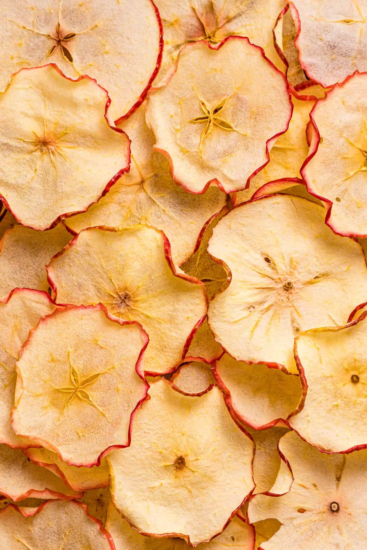 Apple Chips Recipe (How to dry apples in the oven) Fresh Off The Grid