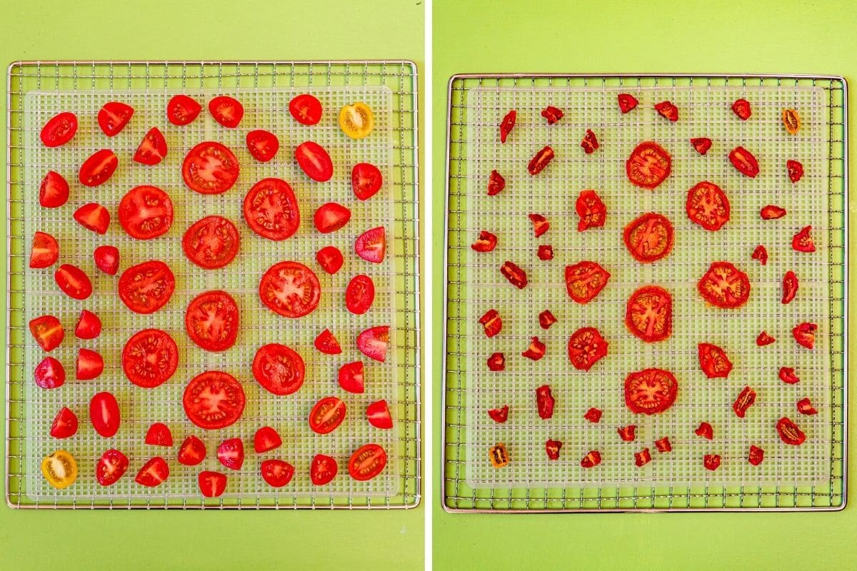 Tomato slices before and after dehydrarting