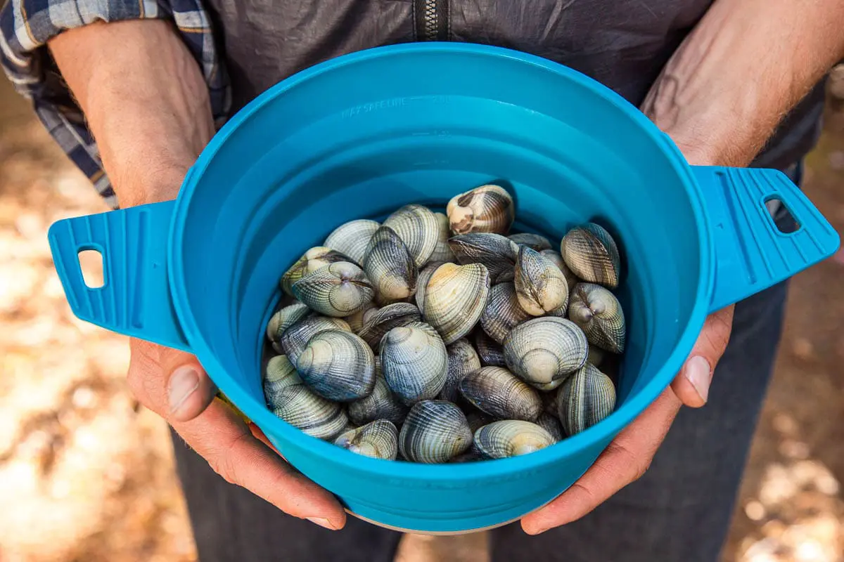 Michael holding a blue pot full of littleneck clams