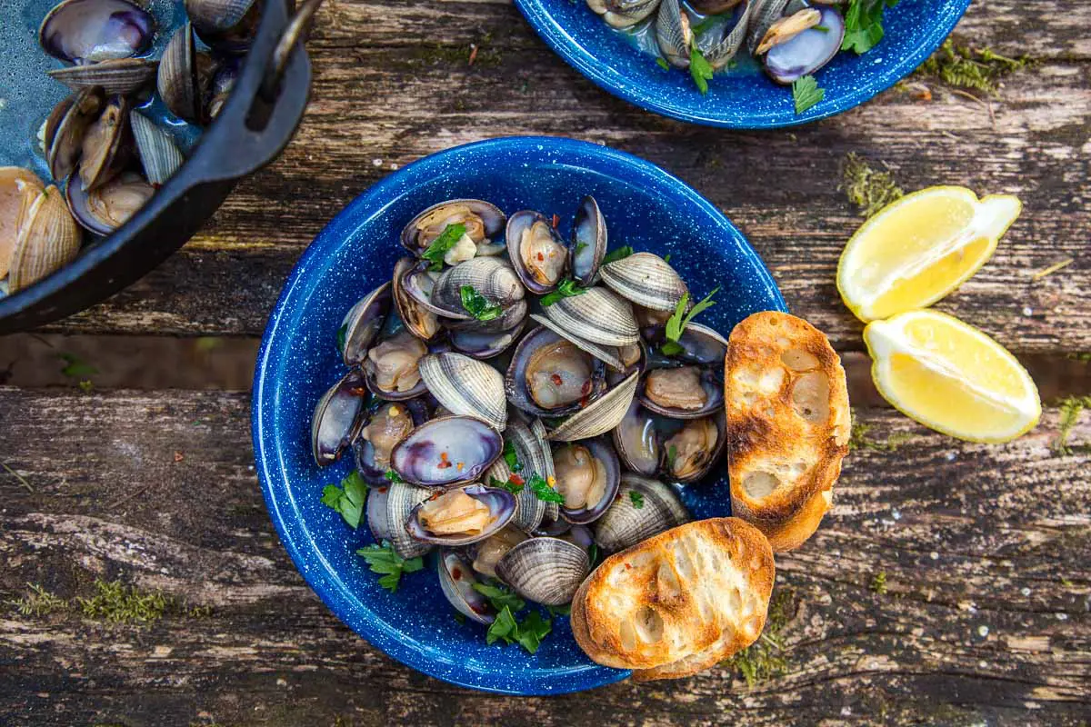 A blue bowl of steamed clams and grilled bread on a camp table