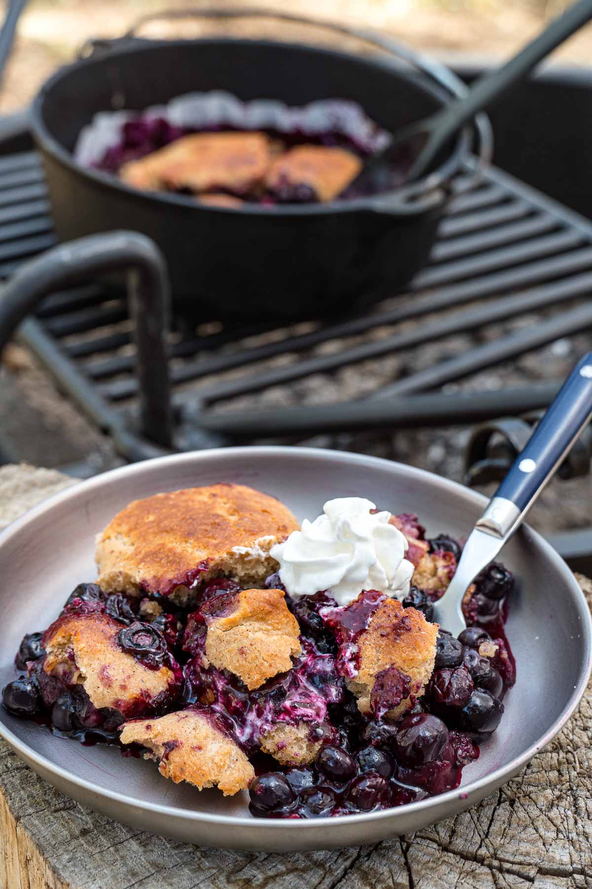 Blueberry cobbler and whipped cream on a plate with a dutch oven in the background