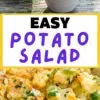 A vibrant and appealing collage showcasing a delicious easy potato salad recipe, perfect for picnics and outdoor dining.