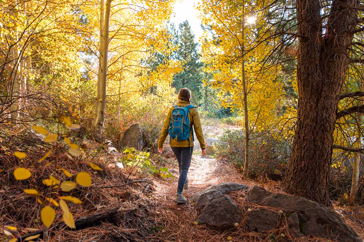 Megan is wearing a blue daypack and hiking on a trail among yellow aspen trees